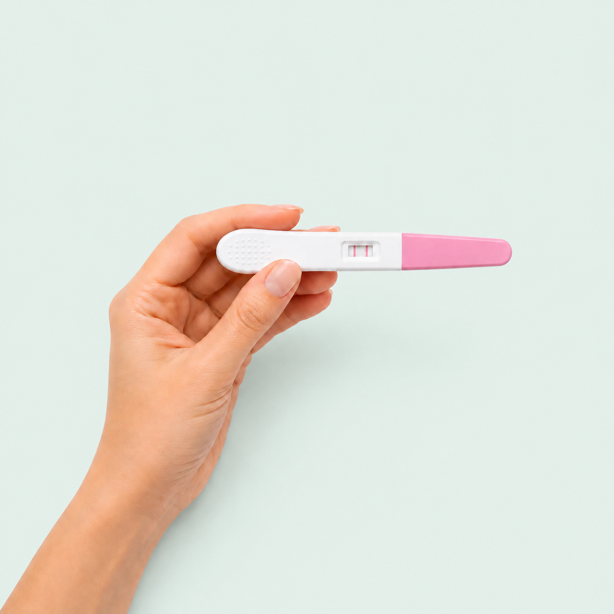 Embarazo, Ovulación y Fertilidad