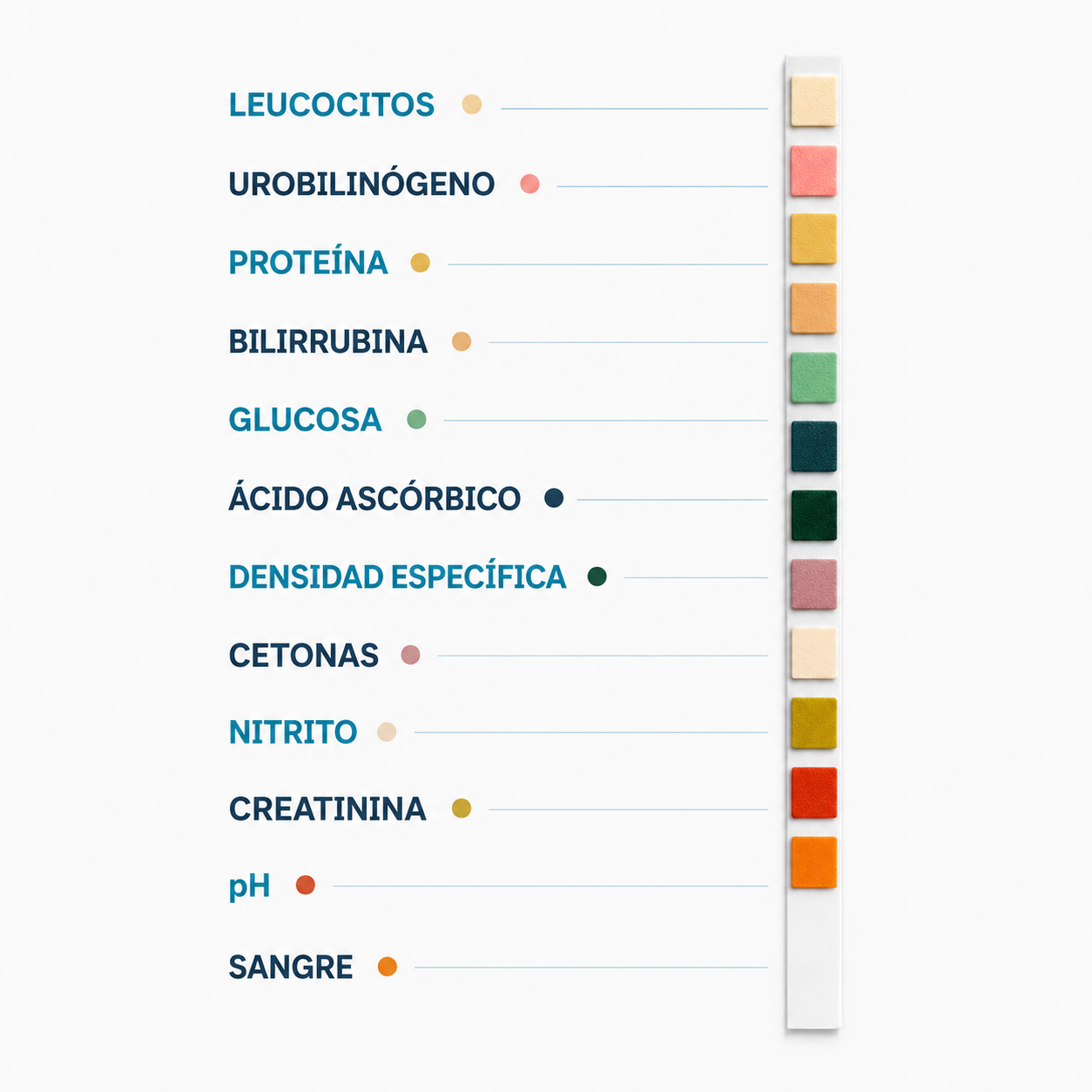 Test de Orina de 12 Parámetros AccuDoctor